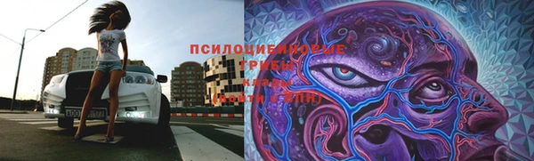 мяу мяу мука Новокубанск