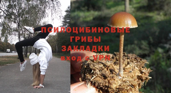 мяу мяу мука Новокубанск