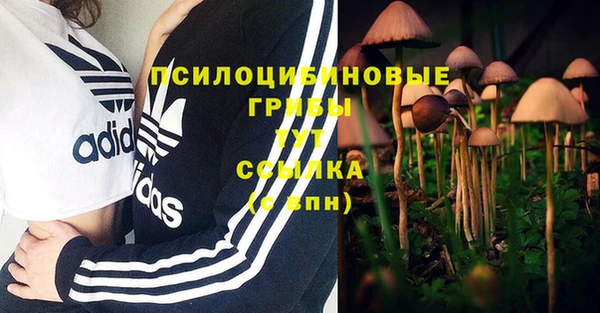 гашиш Новозыбков