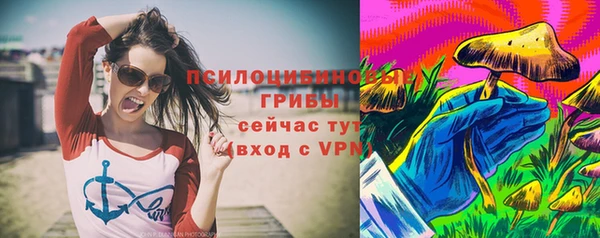 мяу мяу мука Новокубанск