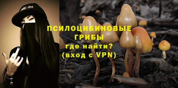 гашиш Новозыбков