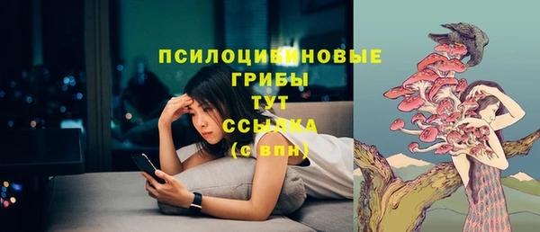 бутират Новодвинск